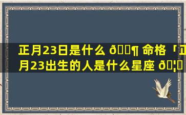 正月23日是什么 🐶 命格「正月23出生的人是什么星座 🦉 」
